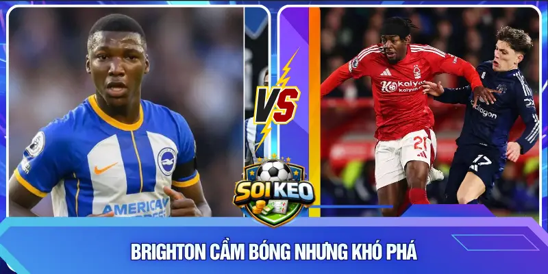 Brighton cầm bóng nhưng khó phá