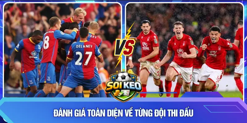 Đánh giá toàn diện về từng đội thi đấu