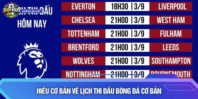 Hiểu cơ bản về lịch thi đấu bóng đá cơ bản