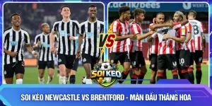 Soi kèo Newcastle vs Brentford