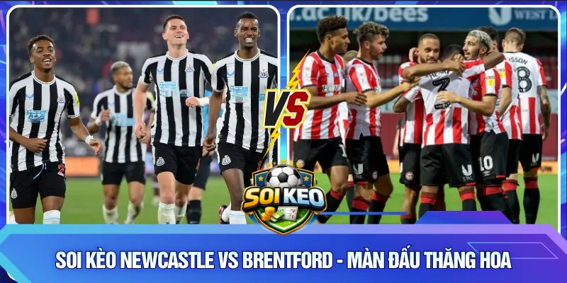 Soi kèo Newcastle vs Brentford