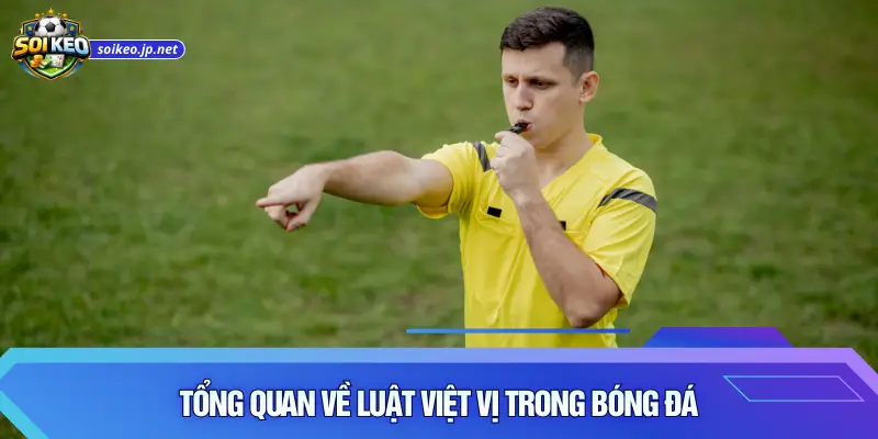 Tổng quan về luật việt vị trong bóng đá